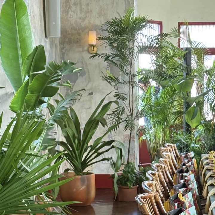 Proyecto botánico para eventos